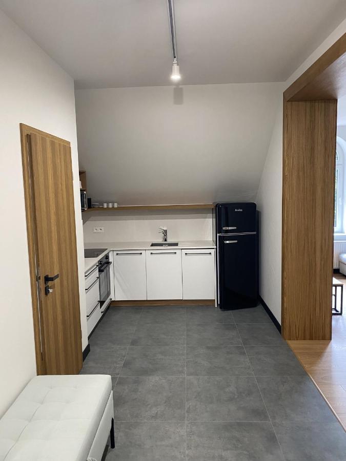 Apartamenty Przy Parku Szwedzkim Szczawno-Zdroj Εξωτερικό φωτογραφία